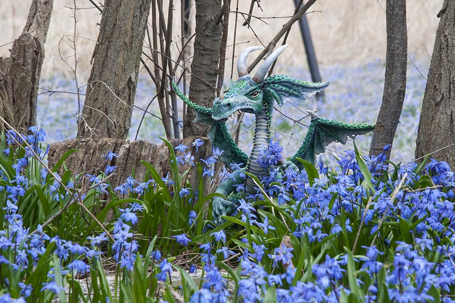 Dragon in the Flowers