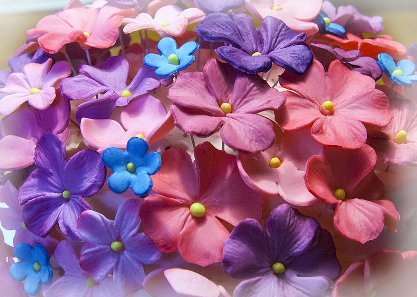 Birthday Cake Flowers