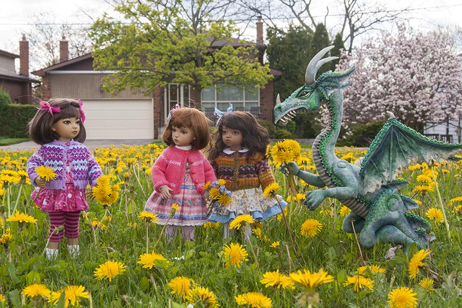 Picking Dandelions