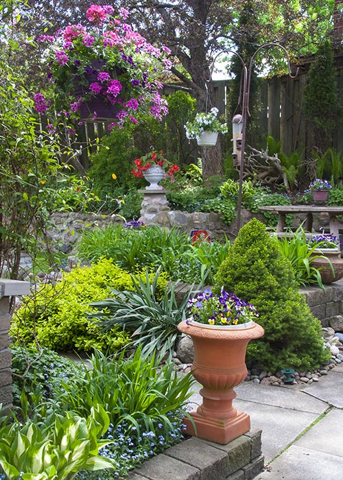 View Into Backyard