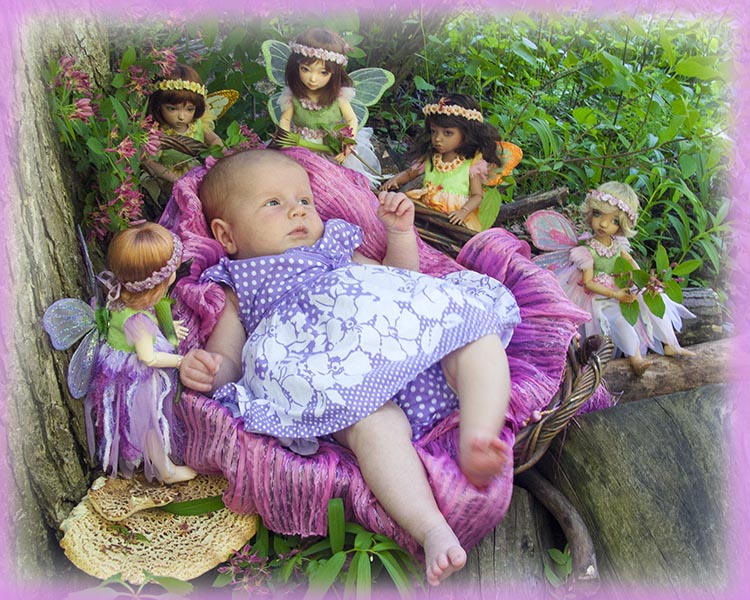 Emily and the Fairies