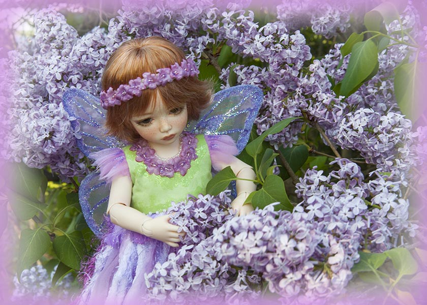 Purple Lilac Fairy