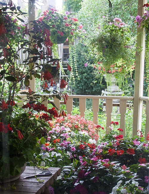 Safe on the Porch