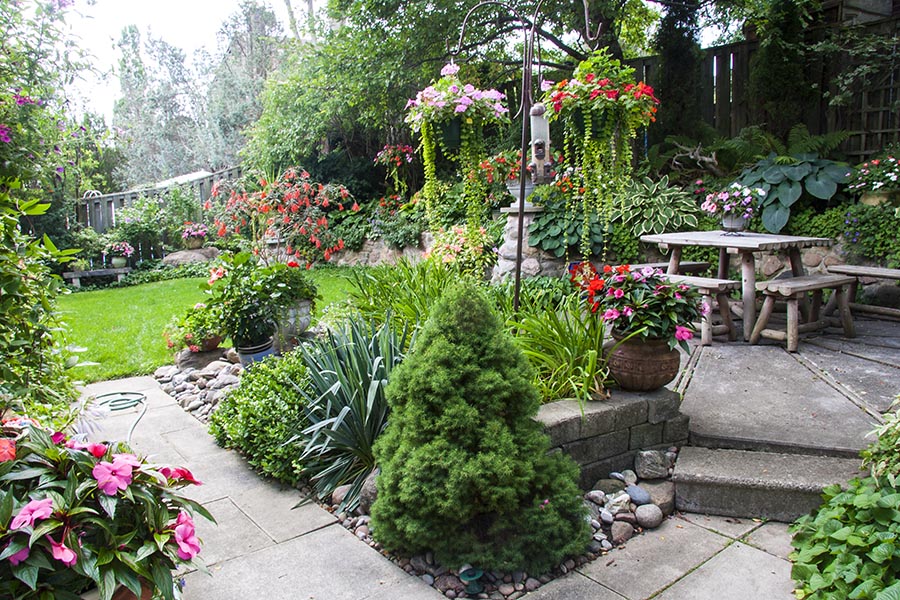 the Backyard