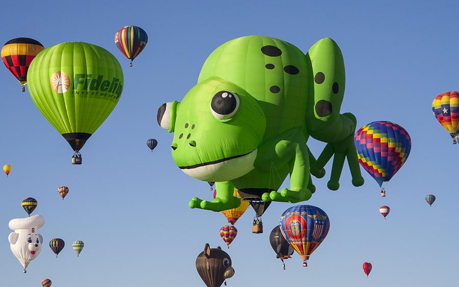 Big Green Frog & Friends