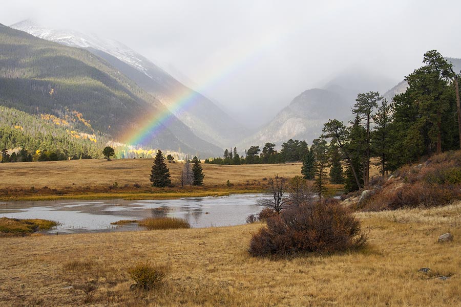Rainbow in the Morning