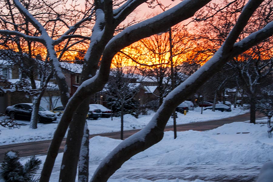 Dawn Between the Snow Storms