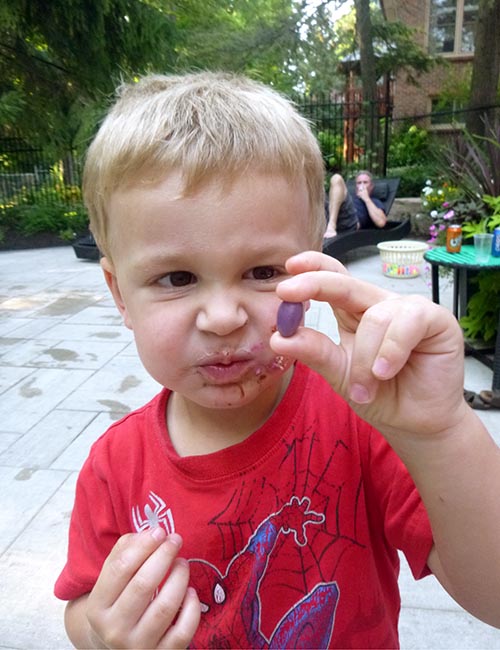 Yucky Purple Jelly Bean