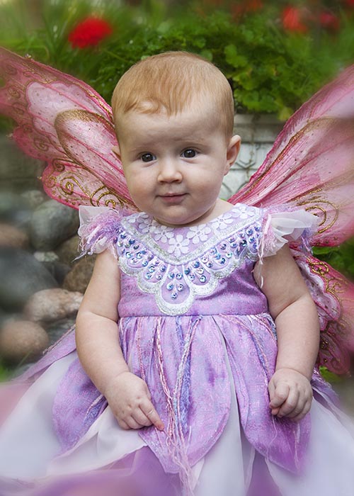 Baby Fairy