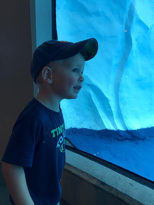 At the Detroit Zoo Aquarium