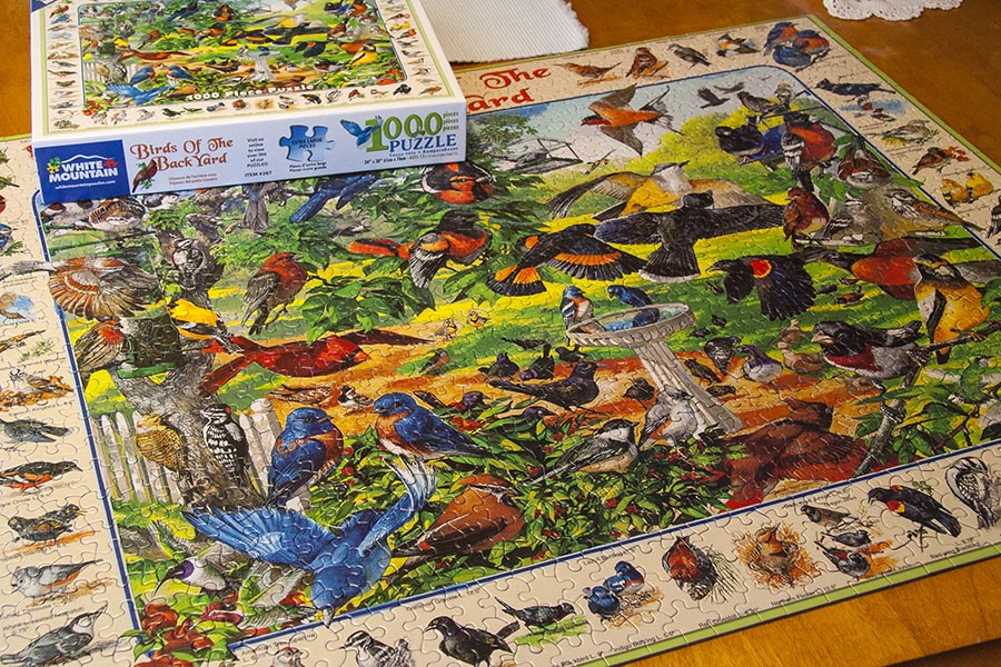 Bird Puzzle