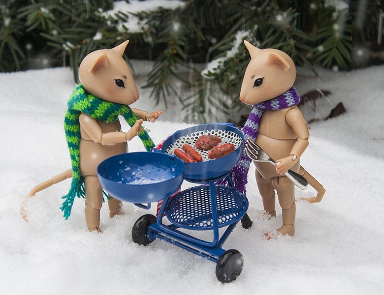 Barbecuing in the Snow