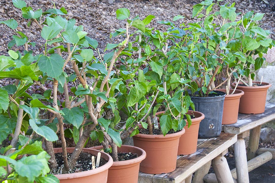 Getting Some Fresh Air