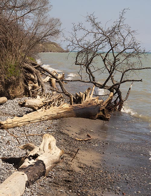 Eroded Shoreline