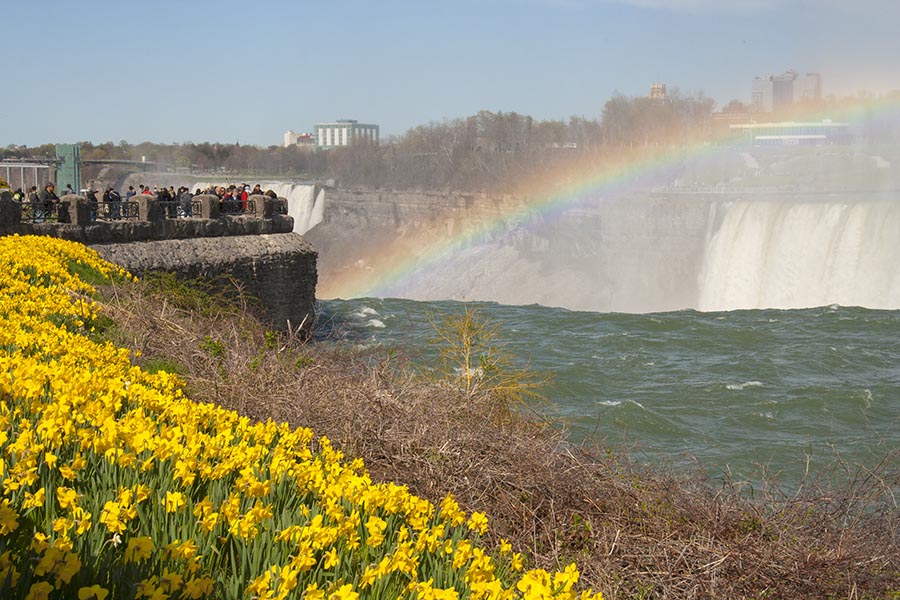 At the Brink of the Horseshoe Falls