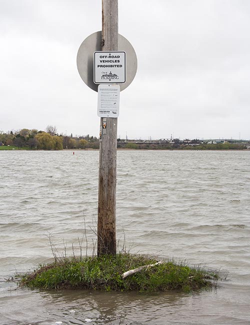 No Vehicles of Any Kind