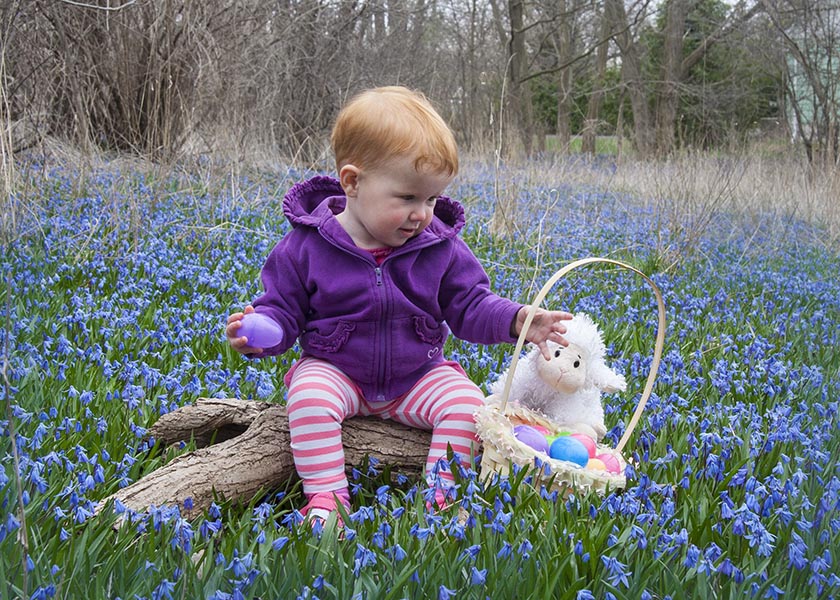 Emily in the Scillas