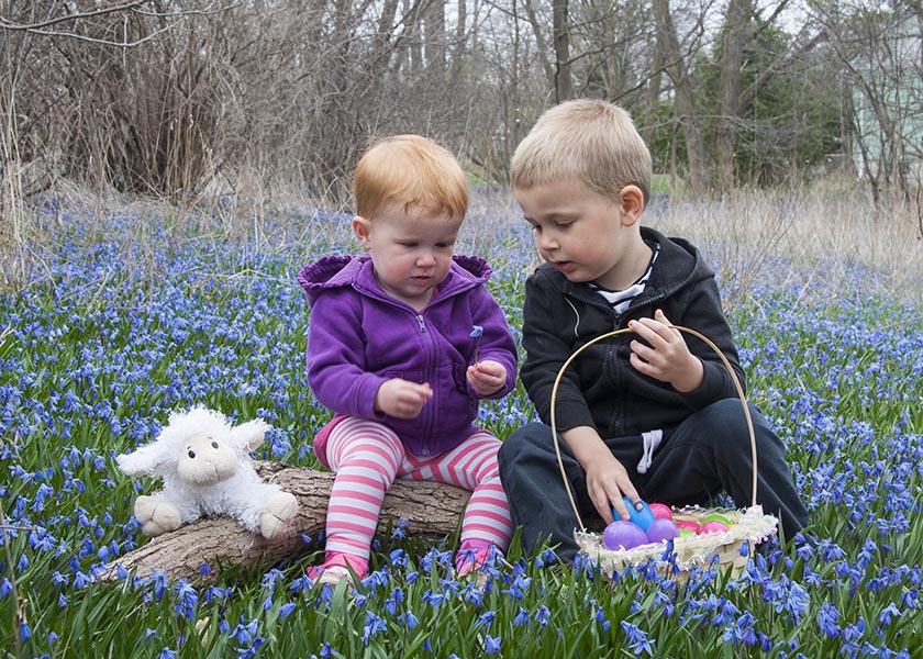 Checking out a Flower
