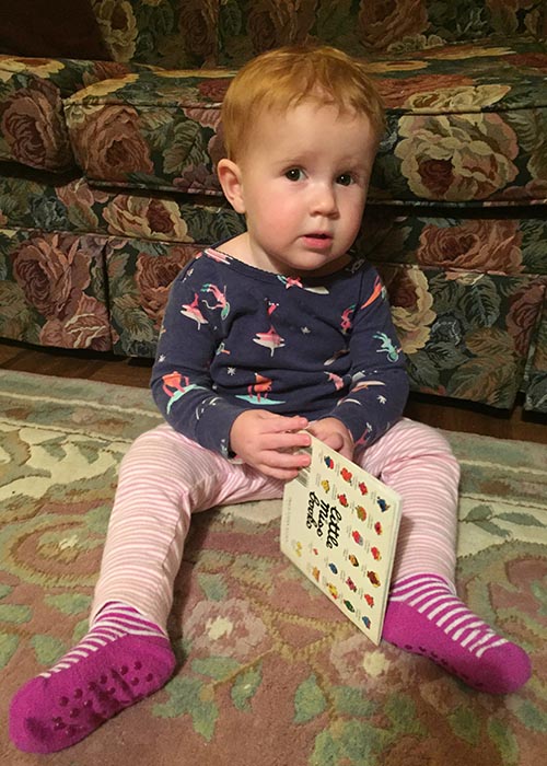 A Little Miss Book before Bed