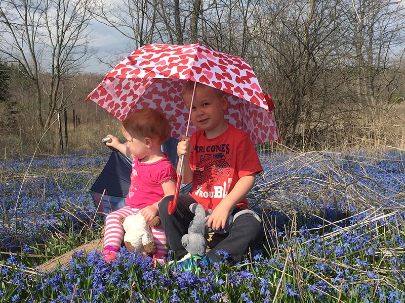 An Umbrella for the Sun