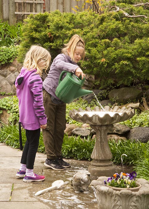 Scrubbing the Bird Bath