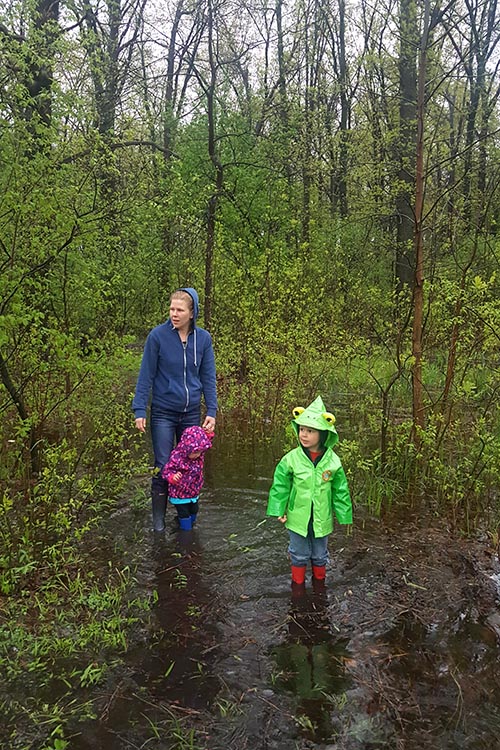 Wading Through the Back Woods