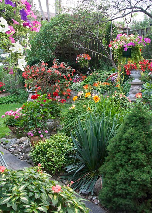 View Along the Back Walkway