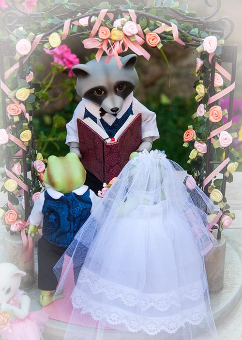 "Do you take this Toad to be your lawfully wedded Spouse?"