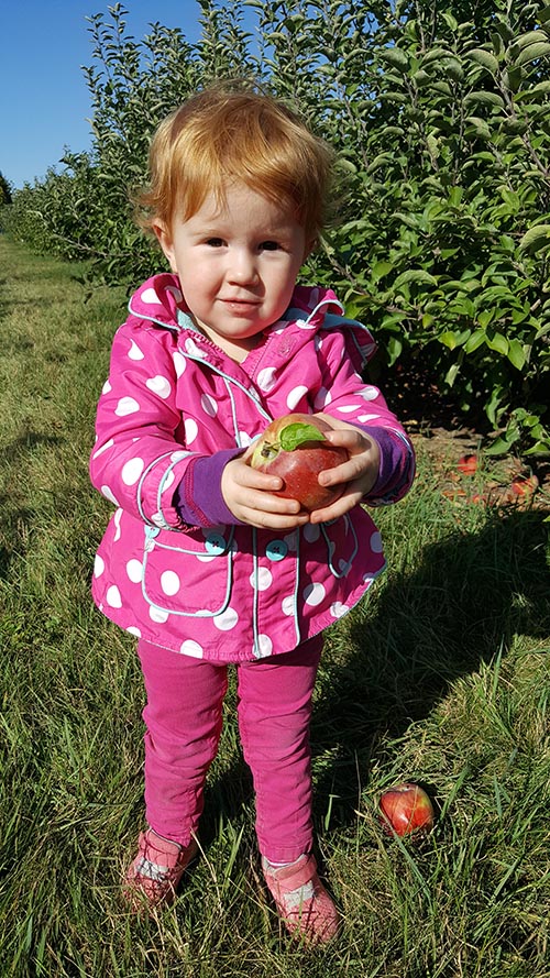 Picking an Apple