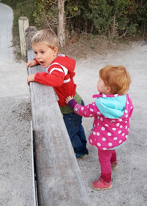 That Was a Big Splash!