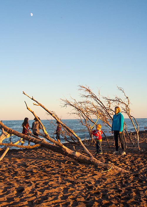 Evening at Point Peelee