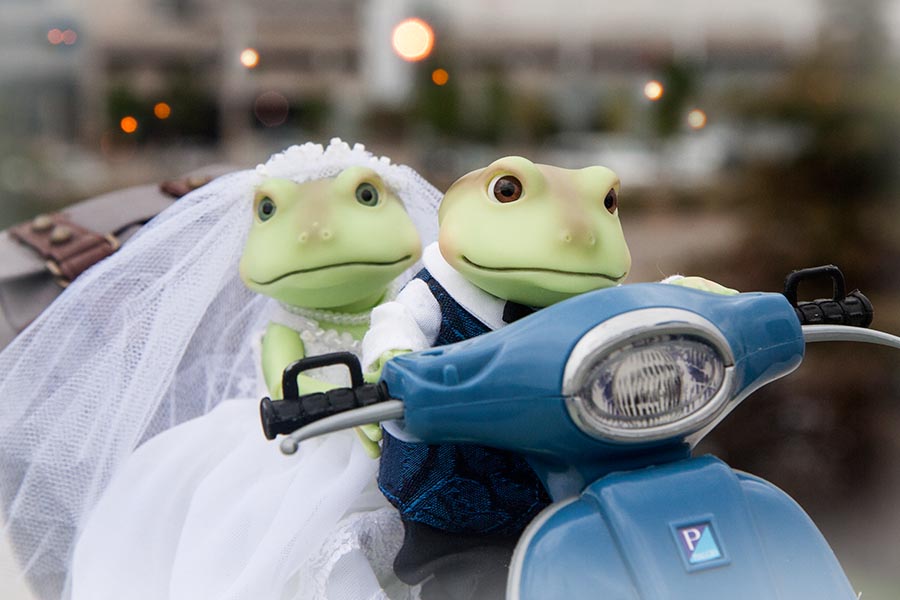 Heading off on their Honeymoon