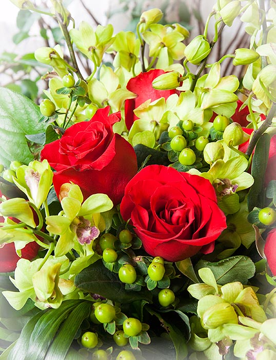 Roses and Orchids