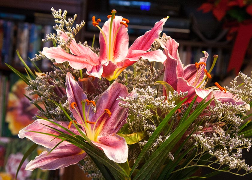 the Last Few Lilies