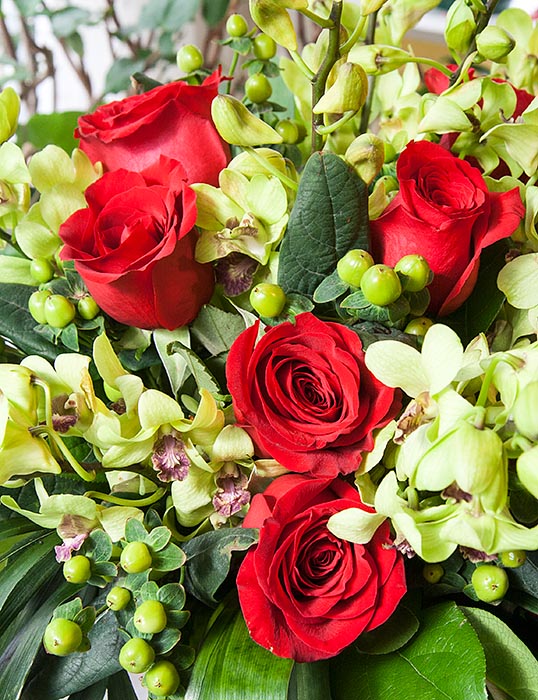 More Roses and Orchids