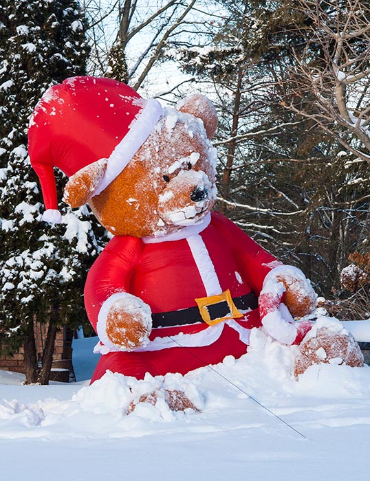 Snow-Covered Teddy