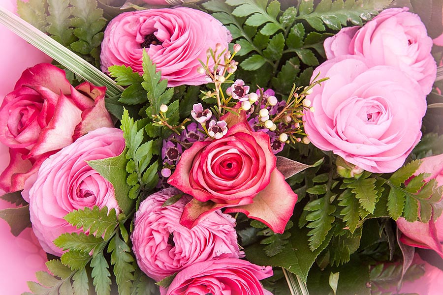 Pink Roses and Ranunculas