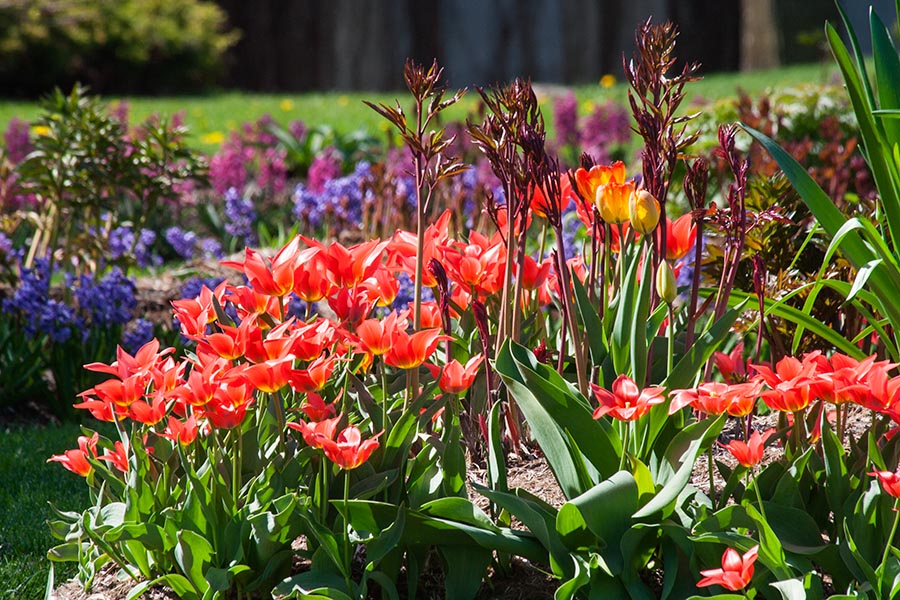 Oshawa Gardens