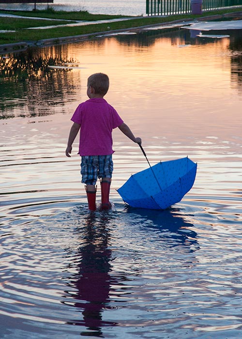 Wading in the Sunset