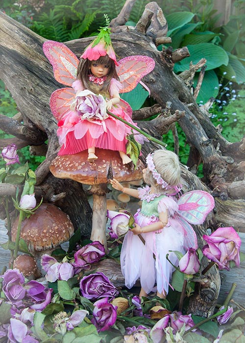 Rose Fairies