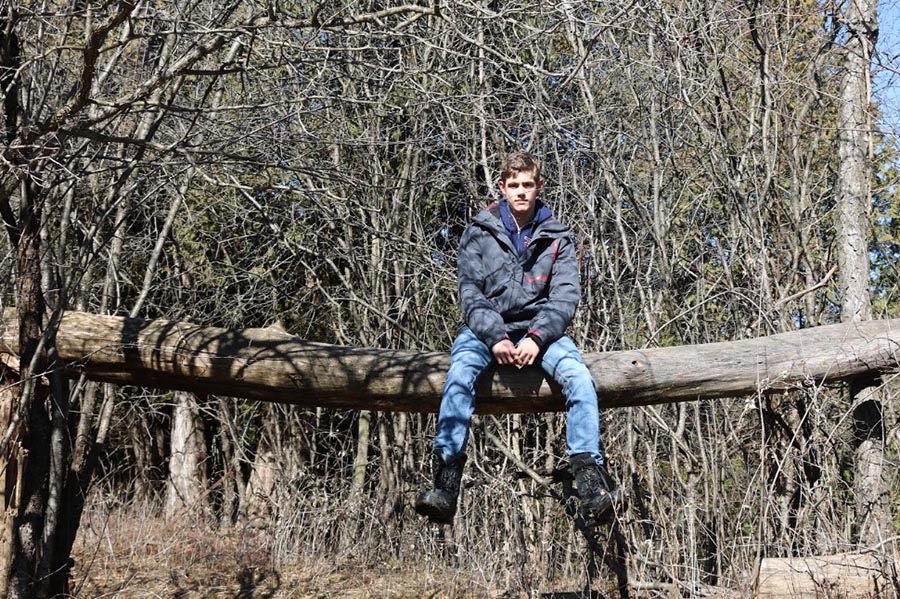 Brady on a Fallen Tree