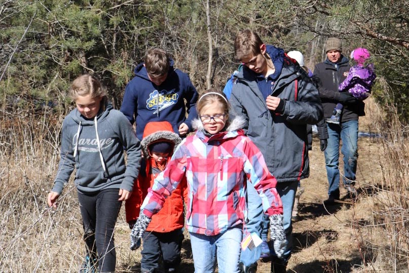 Hiking Through the Woods