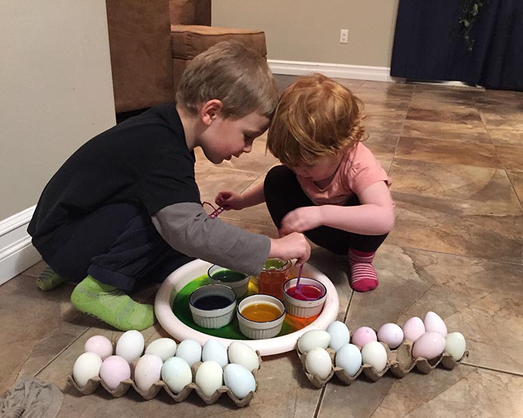 Getting Ready to Dye Eggs