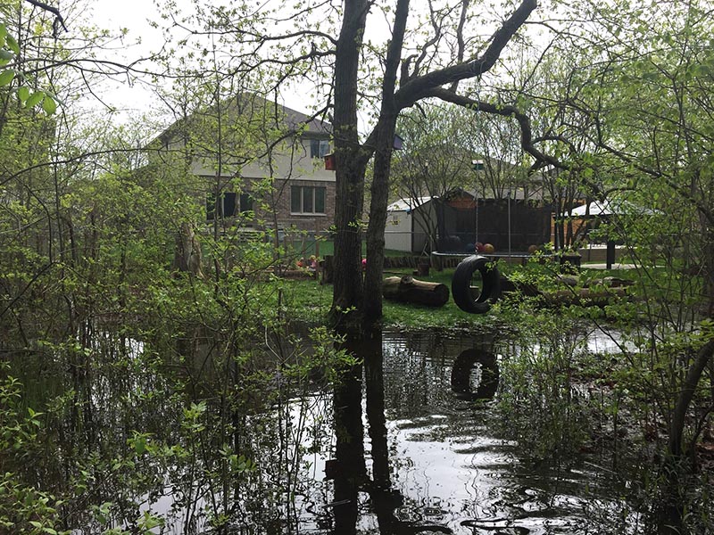 Flooded Backyard