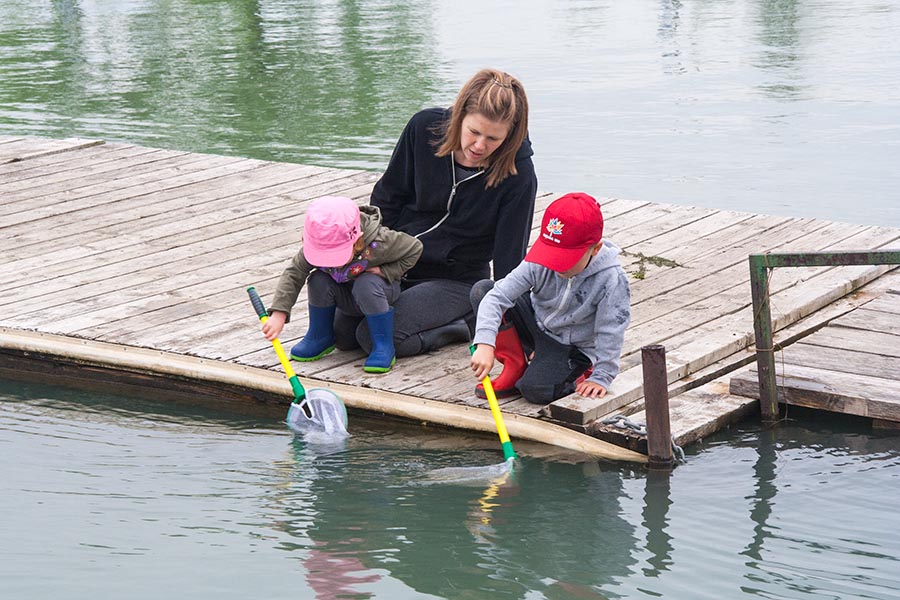 Looking for Tadpoles