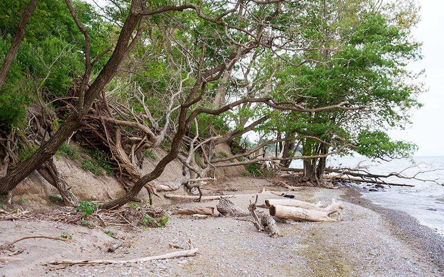 Along the Beach in Ajax