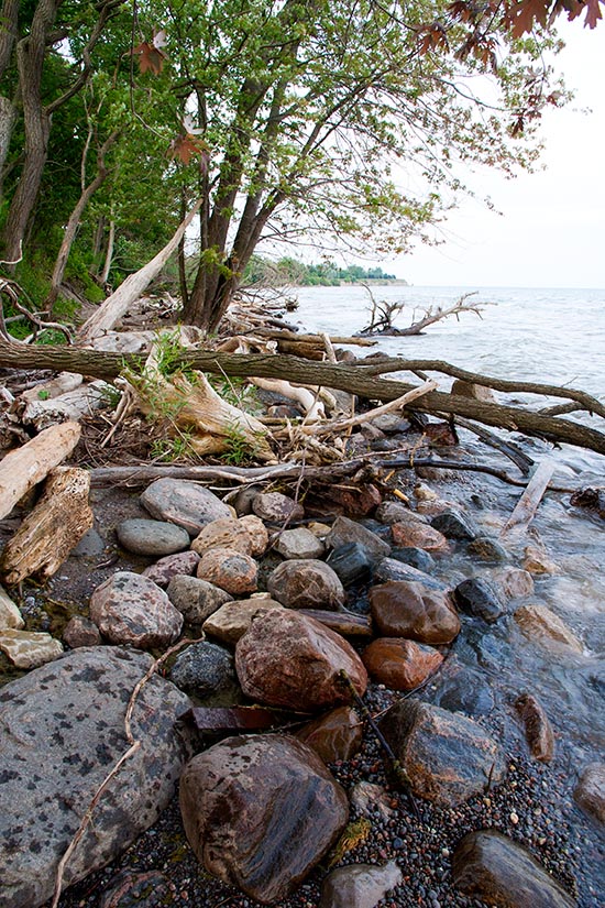Rocky Shoreline