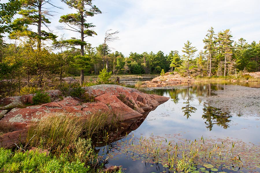 Lighthouse Lake