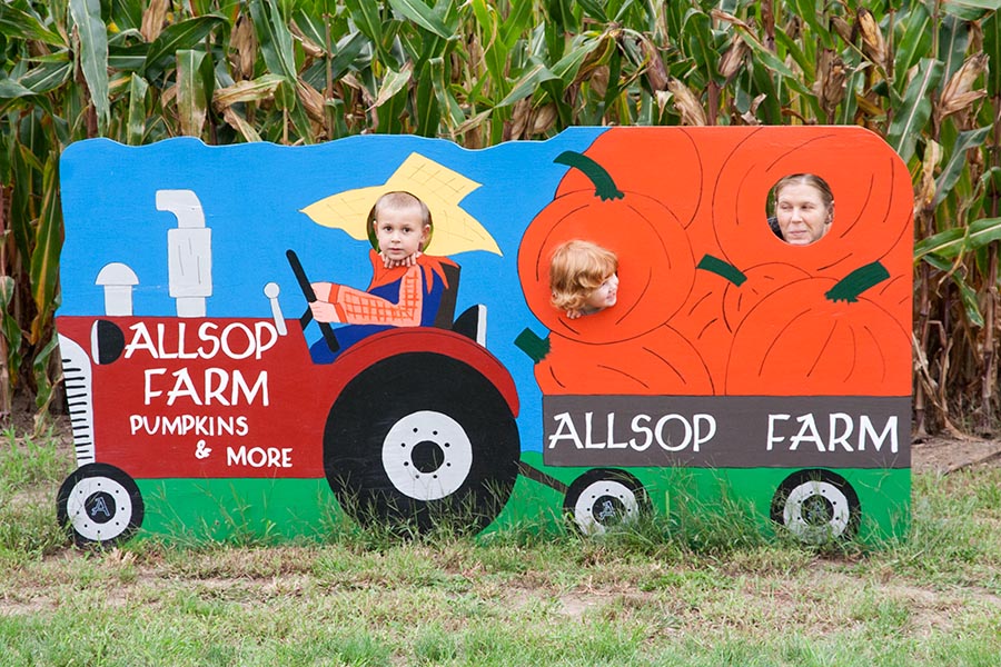Allsop Farm Photo Op