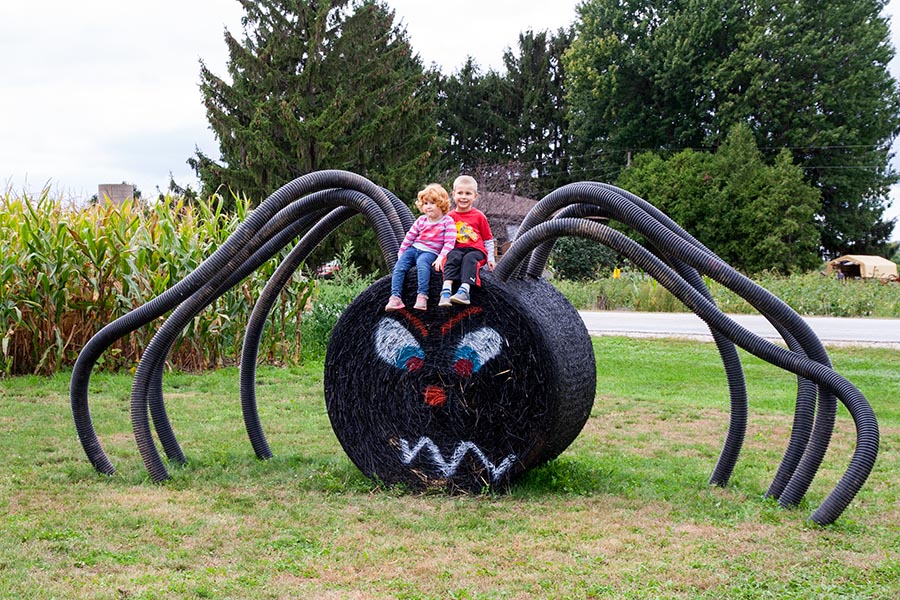 Two Kids Riding a Spider